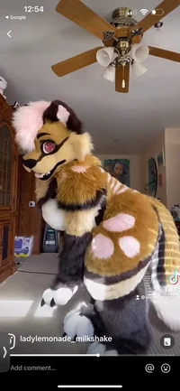 Furry TikToker 