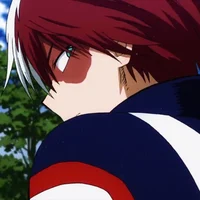 Shoto Todoroki 