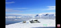 antarctic expedition