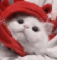 1R - Admirer Roomate