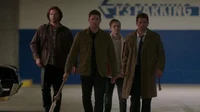 Team Free Will