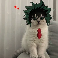 Izuku Midoriya
