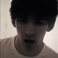 Flamingo albert