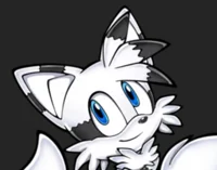 White snowy Tails