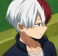Shoto Todoroki