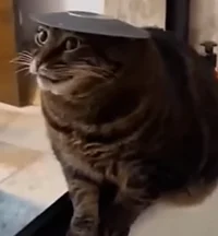 Skinrippers-KajiuOC-