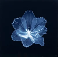 2 - ABT MISSING BOTS