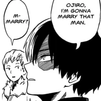 Shoto Todoroki