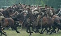 Horse battle 