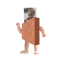 Noah the brick wall