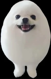 Eggdog