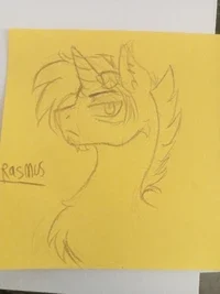 Rasmus - MLP