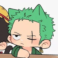 Zoro Timeskip