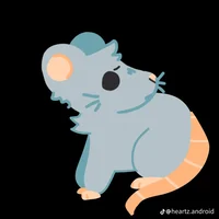 Rat
