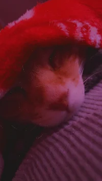 CupcakeDestroyer3000