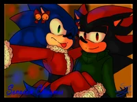 Sonic and Shadow