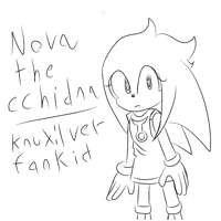 Nova the echidna