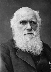 Chat with Charles Darwin | character.ai | Personalized AI for every ...