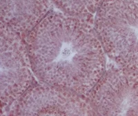 WATAFAAAAAAAAAAAAAAA