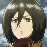 Mikasa Ackerman Br