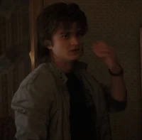 Steve Harrington 