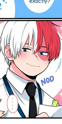 Shoto Todoroki