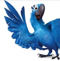 Blu Gunderson