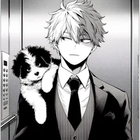 1MHA Shoto Todoroki