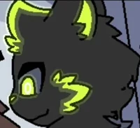 Hypno cat