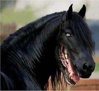 Nightmare horse
