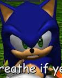 Sonic meme