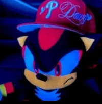 Shadow the hedgehog 