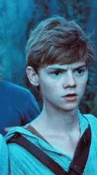 Newt