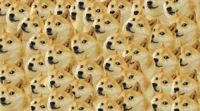 Vitamins_RageDoge