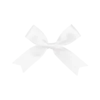 01 - About character