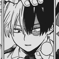 Shoto Todoroki