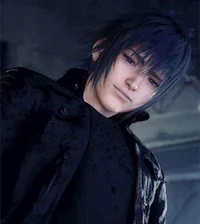 Noctis Lucis Caelum 