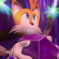 Sonic and bff member