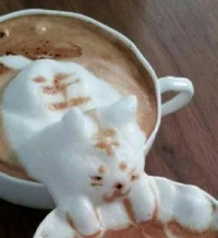 Coffee Cat