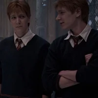 The Weasley Twins