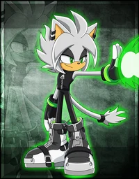RenardTheCat