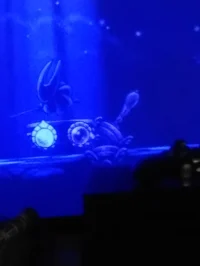 Hornet