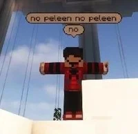 Roier amiko virtual