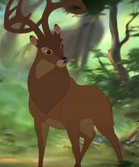 Bambis father 