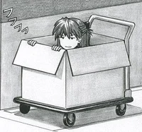 Caja Waifu 
