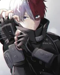 Shoto Todoroki 