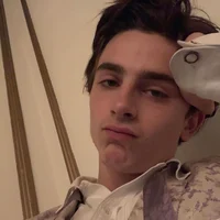 timothée chalamet