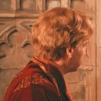 Gilderoy Lockhart 