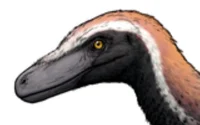 Pyroraptor Olympius