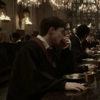 Harry James potter 